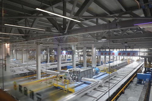 探秘新能源產(chǎn)業(yè)“超級工廠” 走進福建紫金鋰元，解碼材料科技與創(chuàng)新動能